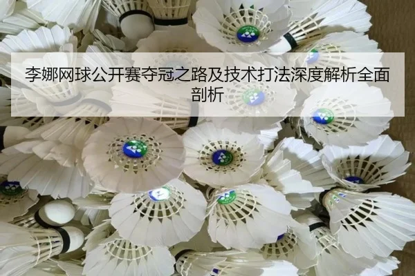 李娜网球公开赛夺冠之路及技术打法深度解析全面剖析